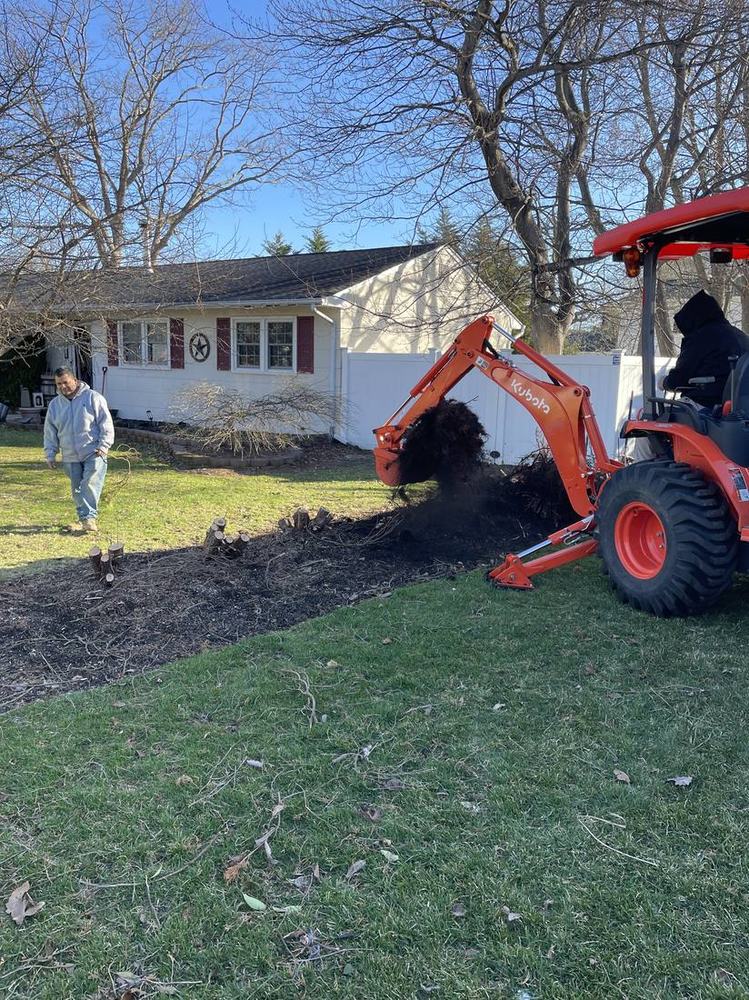 Heavy-duty stump and brush removal